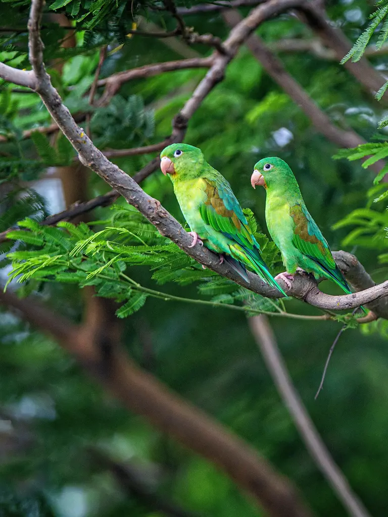 Privatreise durch Nicaragua